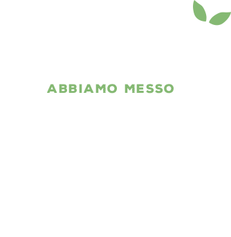 a Natale abbiamo messo radici!